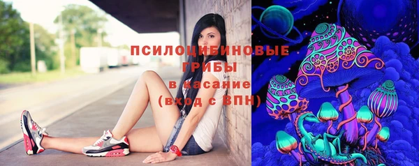 бошки Абаза