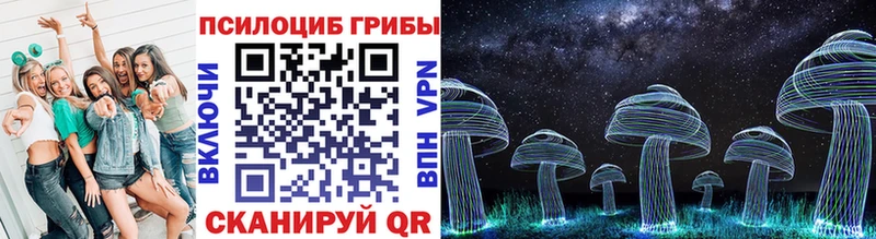 Псилоцибиновые грибы прущие грибы купить наркотики цена Новокузнецк